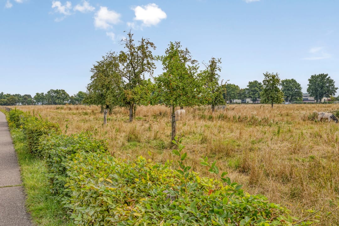 Photo 26 of J.P. Sweelinckstraat 9