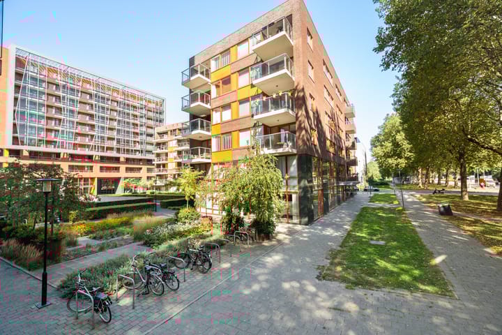 Photo 45 of Koningslaan 229