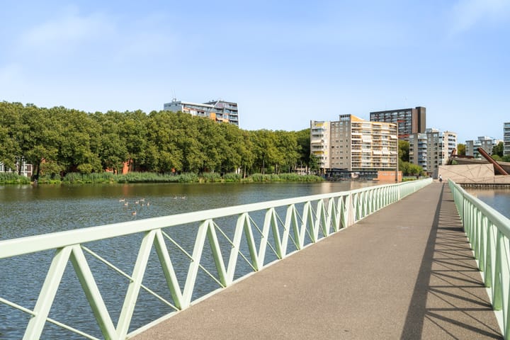 Photo 46 of Koningslaan 229