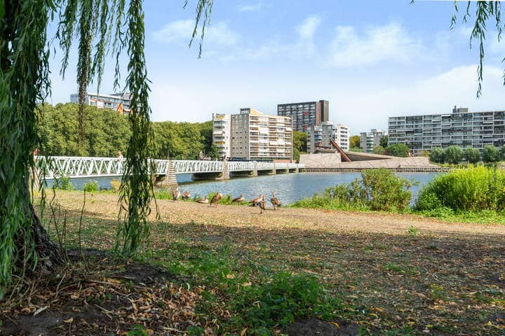 Photo 47 of Koningslaan 229