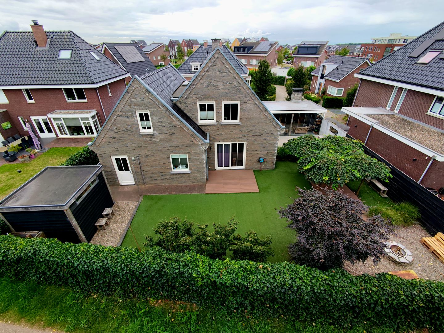 Foto 65 van Bruine Vuurvlinder 10