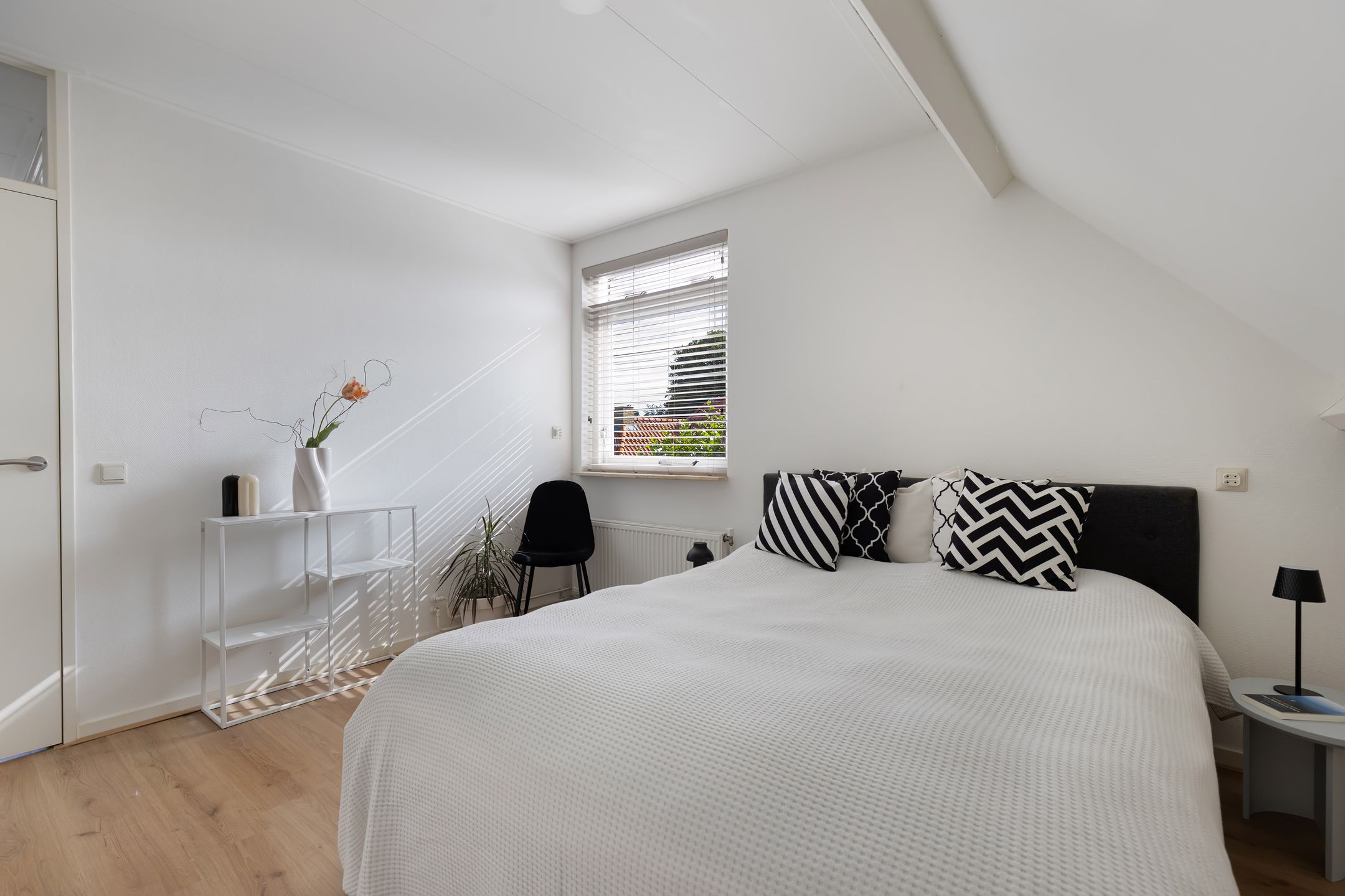 Foto 24 van Paradyske 7