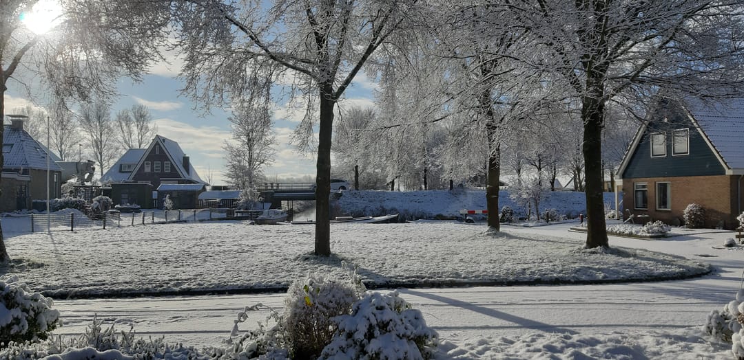 Foto 46 van Paradyske 7