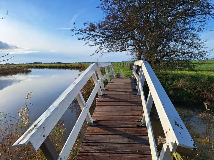 Foto 51 van Paradyske 7