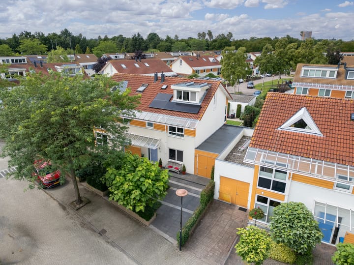 Foto 7 van Bitterkruid 35