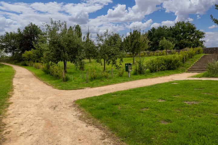 Foto 29 van Bitterkruid 35