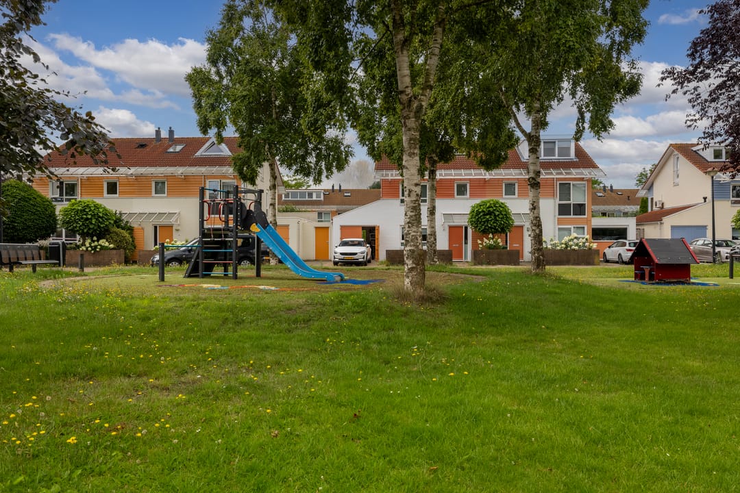 Foto 31 van Bitterkruid 35