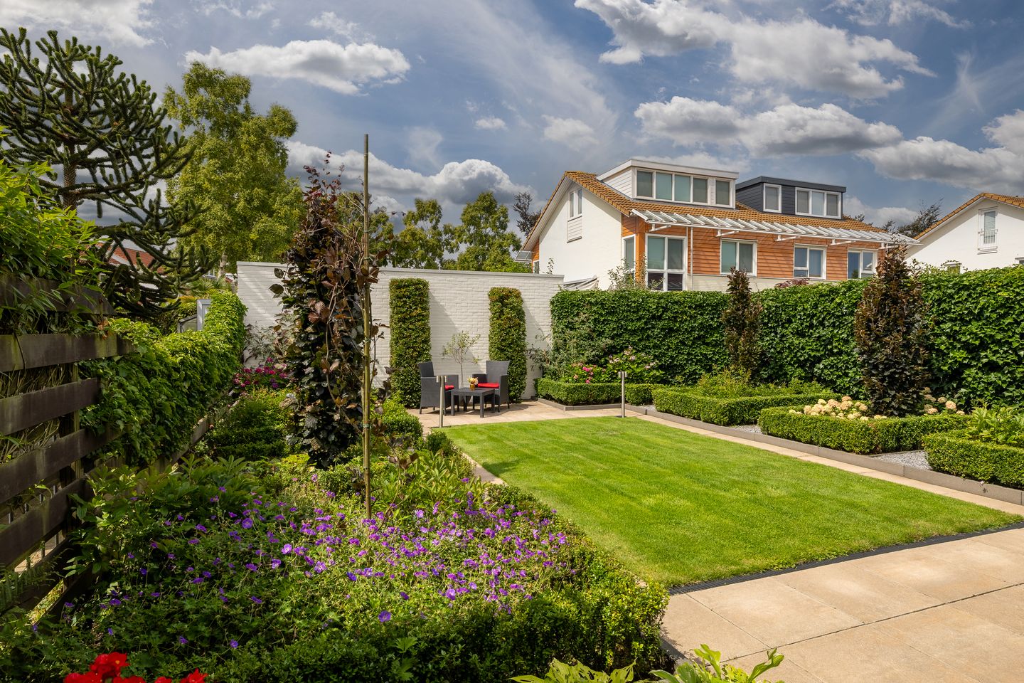 Foto 34 van Bitterkruid 35