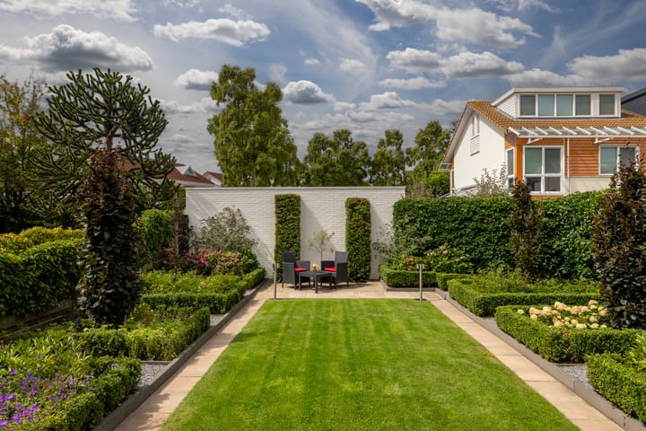 Foto 35 van Bitterkruid 35