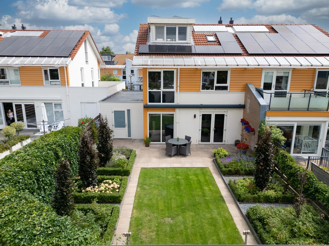 Foto 37 van Bitterkruid 35