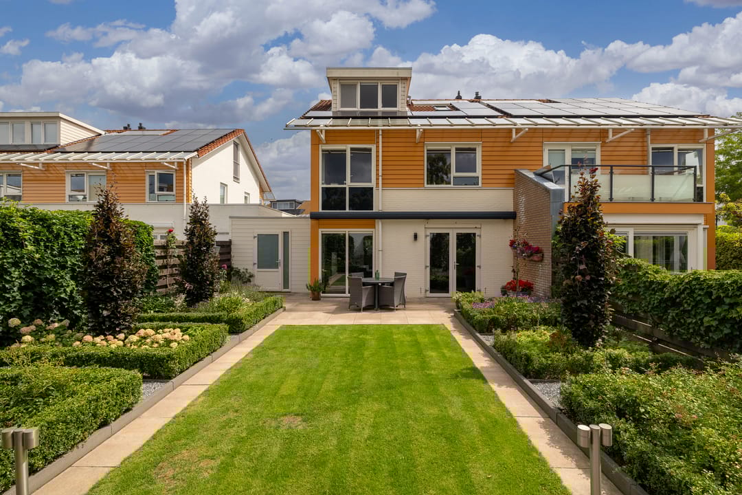 Foto 38 van Bitterkruid 35