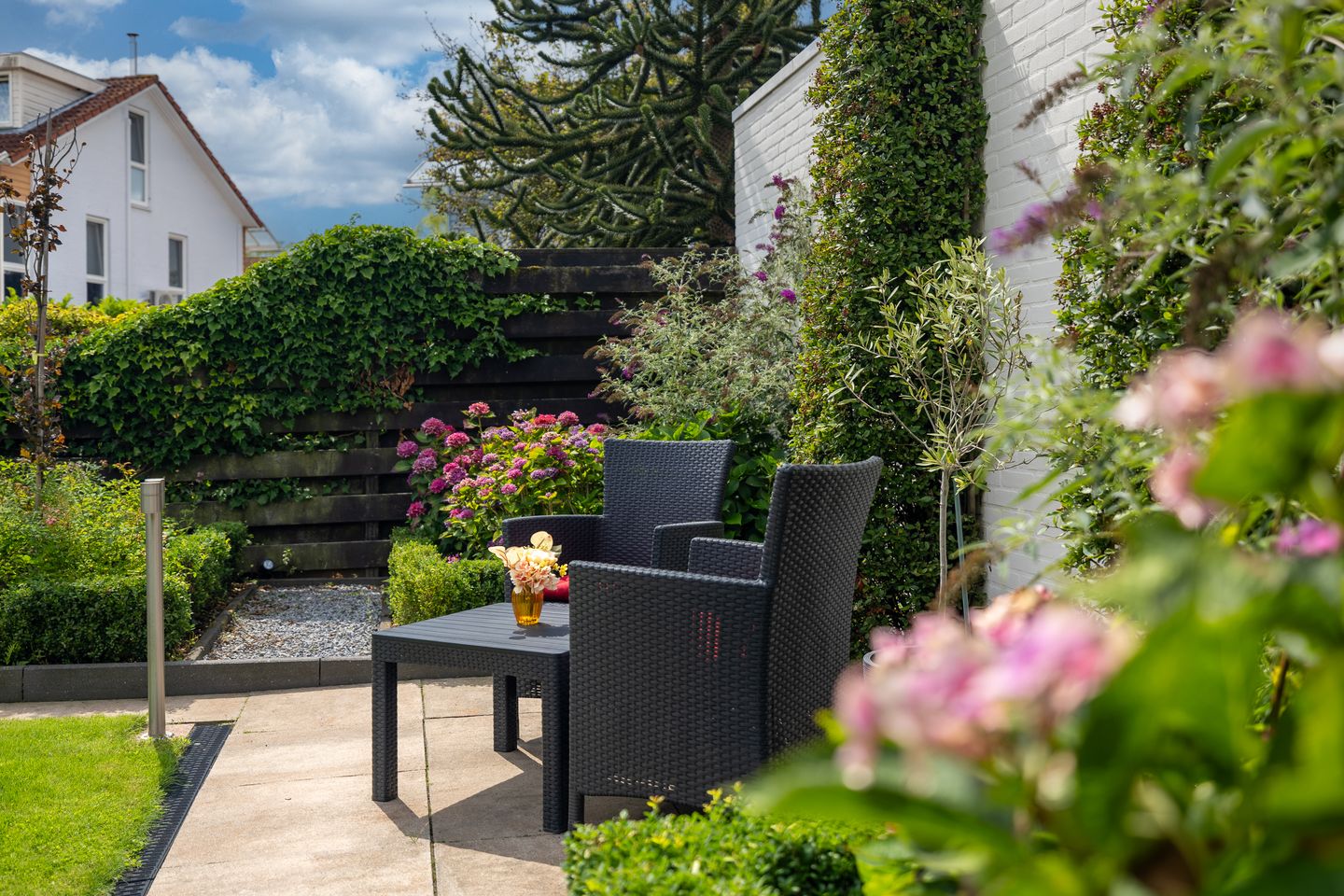 Foto 40 van Bitterkruid 35