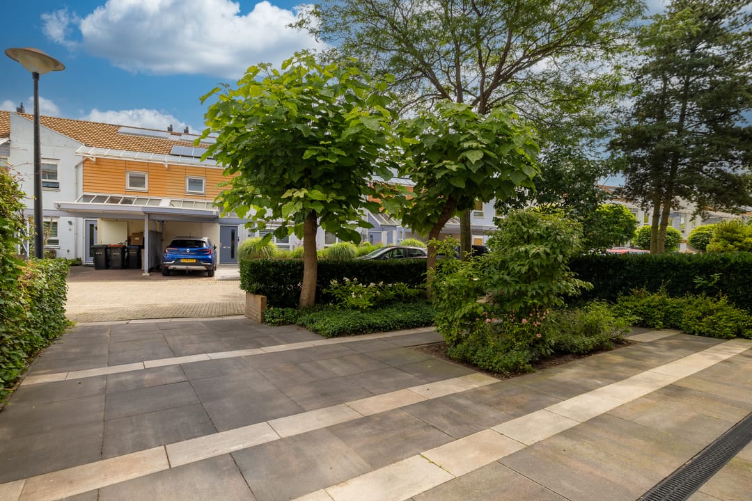 Foto 41 van Bitterkruid 35