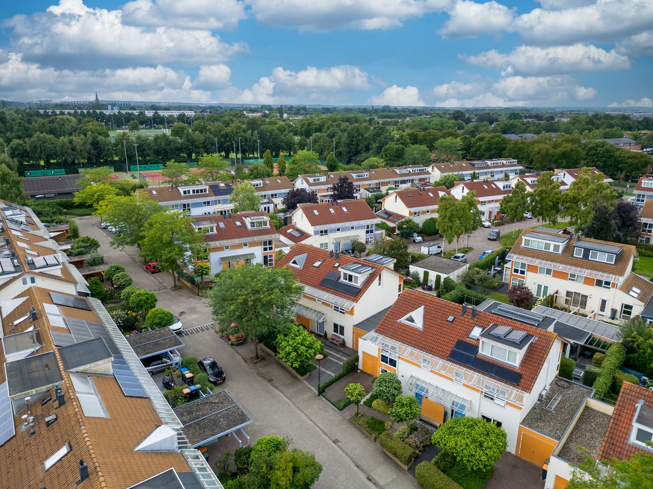 Foto 42 van Bitterkruid 35