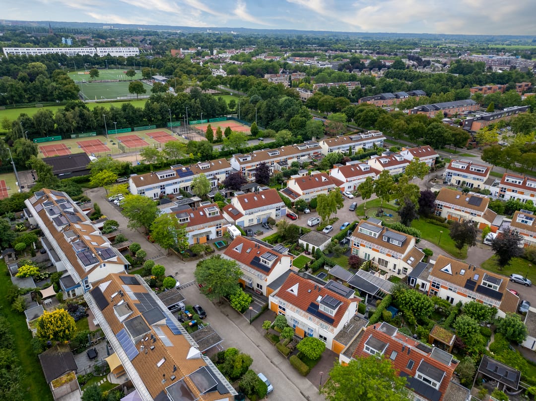 Foto 43 van Bitterkruid 35