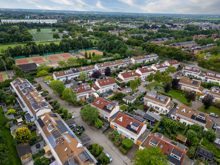 Foto 43 van Bitterkruid 35