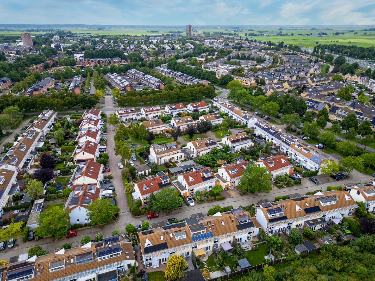 Foto 44 van Bitterkruid 35