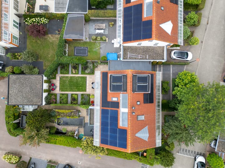 Foto 45 van Bitterkruid 35