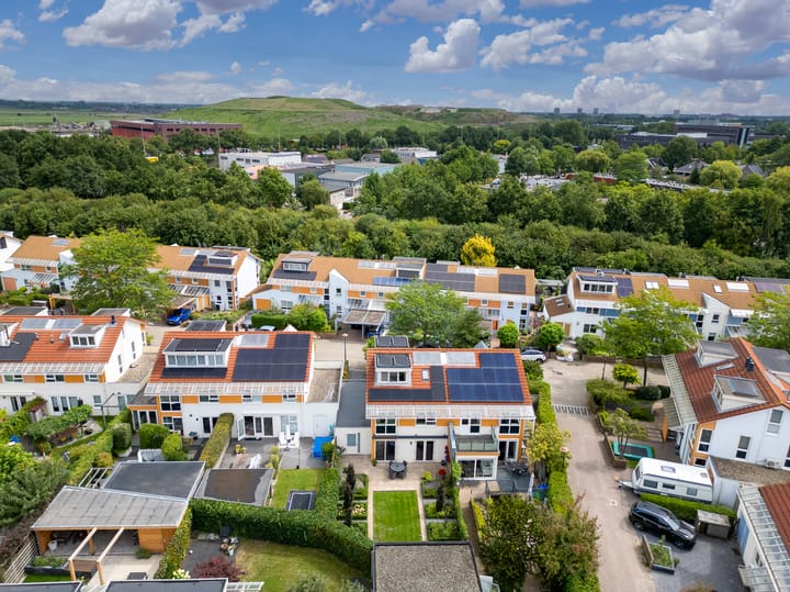 Foto 46 van Bitterkruid 35