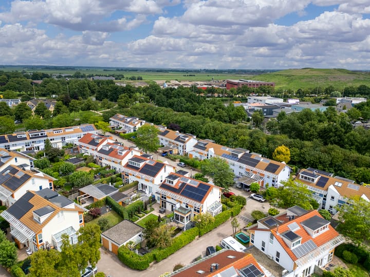 Foto 47 van Bitterkruid 35