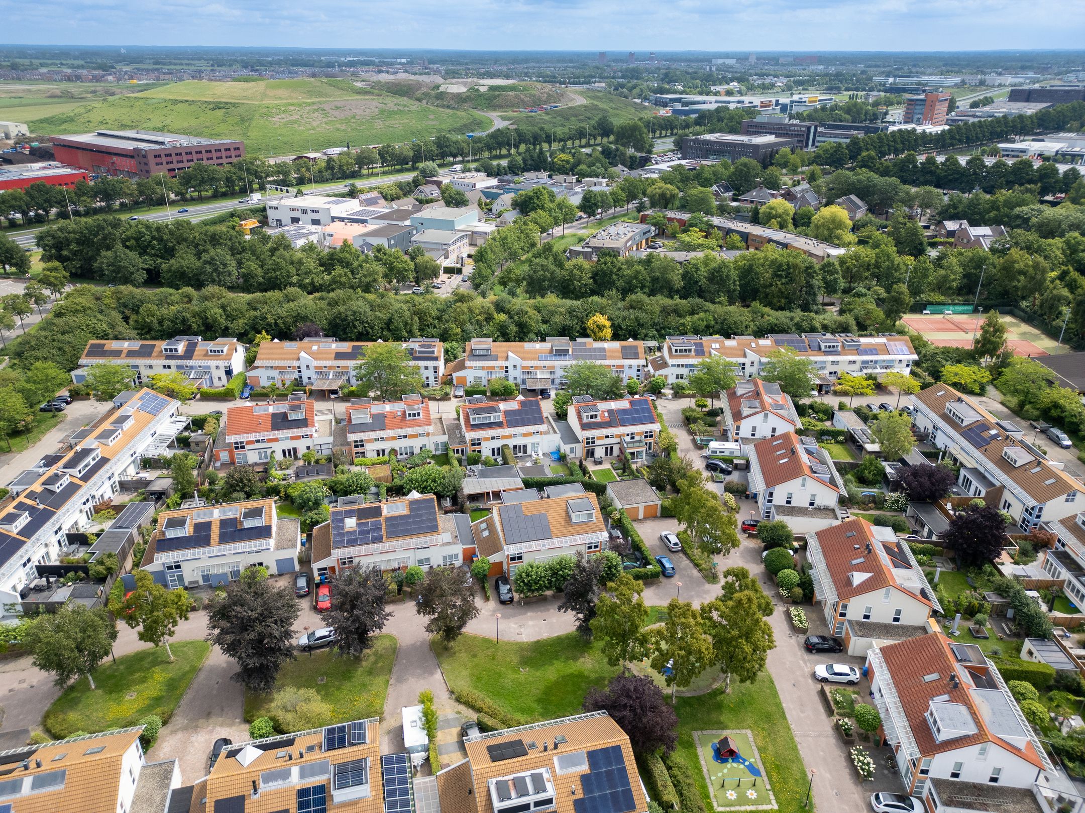 Foto 48 van Bitterkruid 35