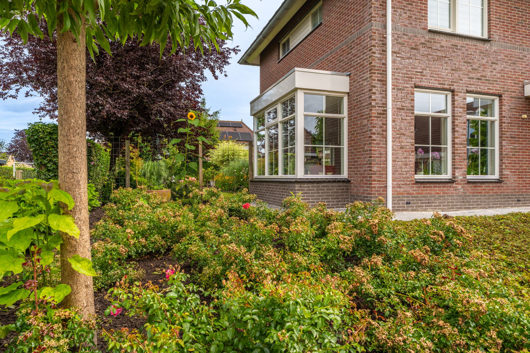 Foto 15 van Stuurhuis 19