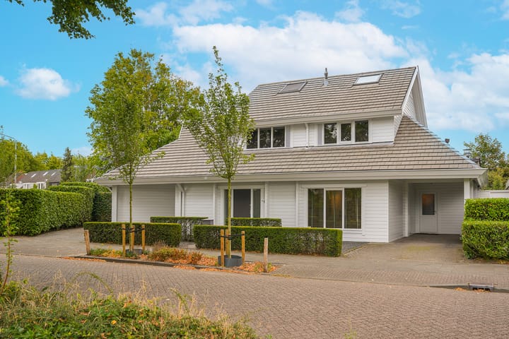 Van Hogendorplaan 15