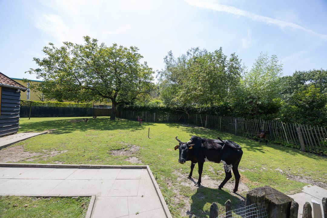 Photo 92 of Hoge Neerstraat 15