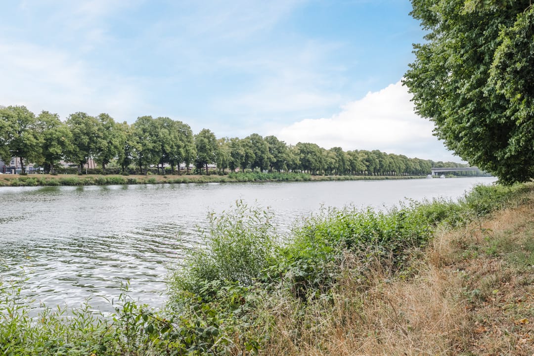 Photo 31 of Zwanenveld 3529