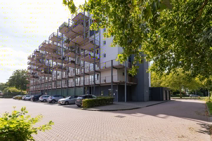 Foto 7 van Kaap Hoorn 21