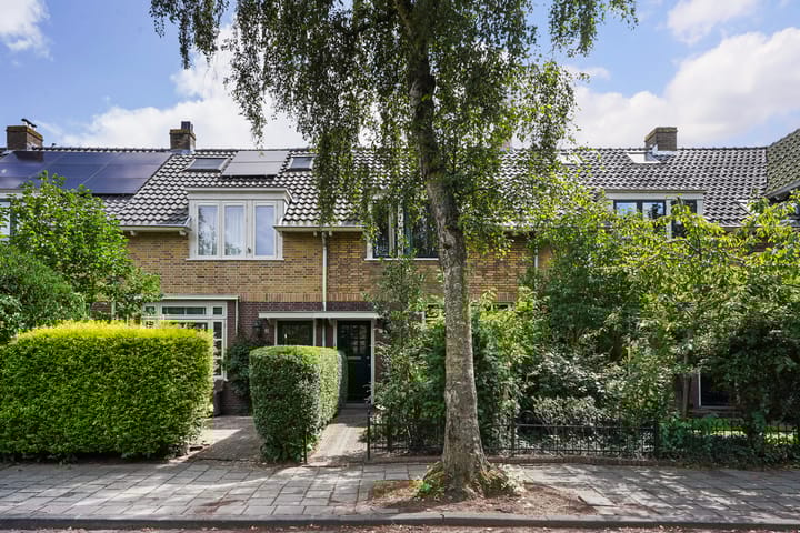 Foto 1 van Theemsstraat 32