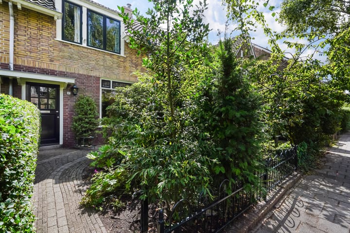 Foto 47 van Theemsstraat 32