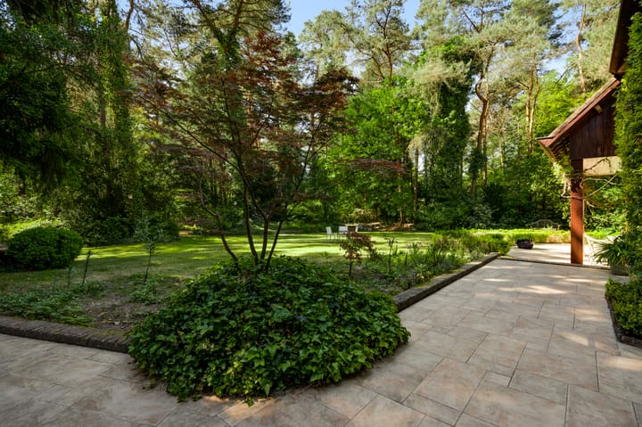 Foto 48 van Dennenlaan 1