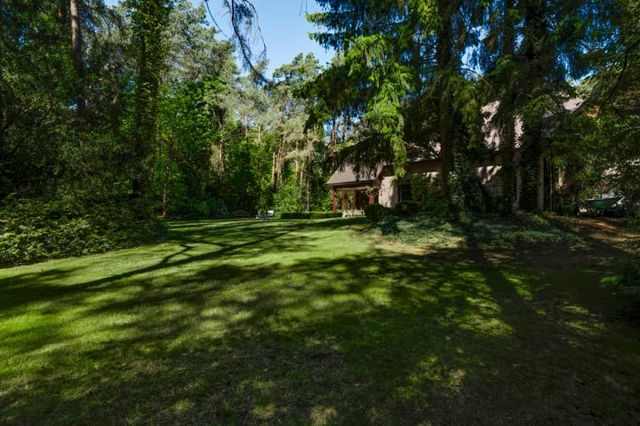 Foto 55 van Dennenlaan 1