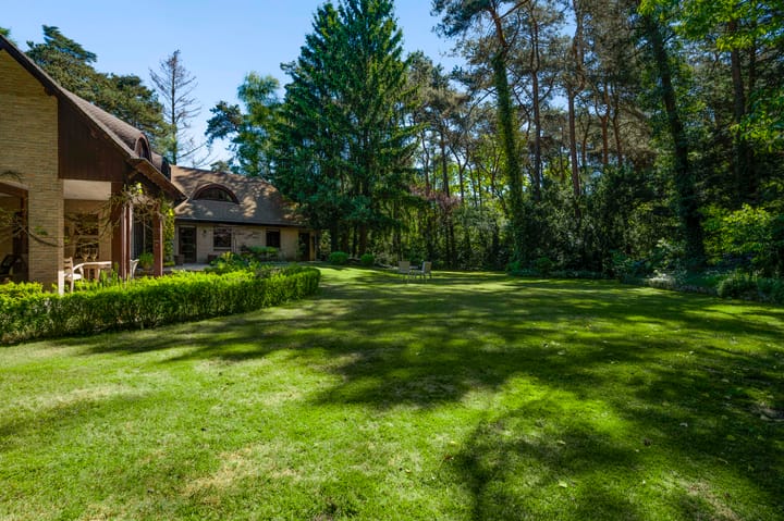 Foto 57 van Dennenlaan 1