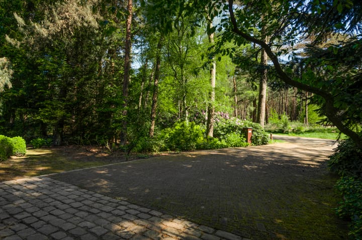 Foto 60 van Dennenlaan 1