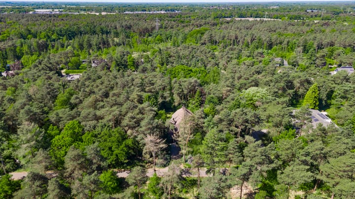 Foto 64 van Dennenlaan 1