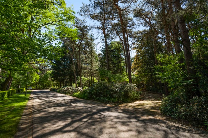 Foto 66 van Dennenlaan 1