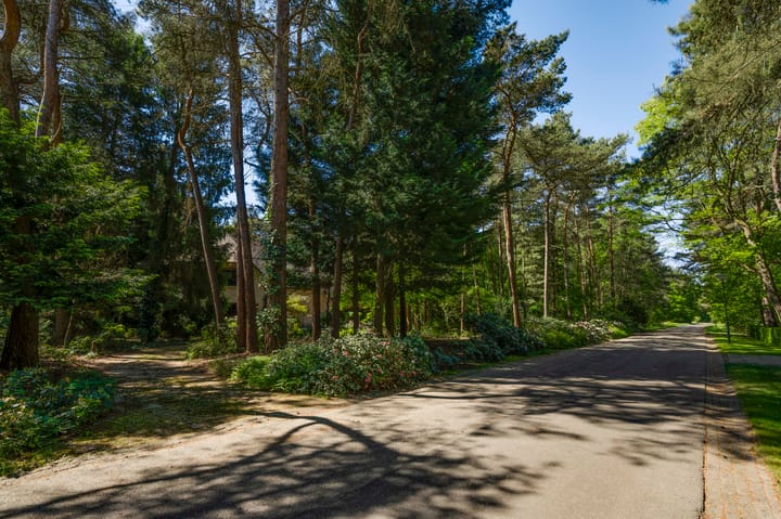 Foto 67 van Dennenlaan 1