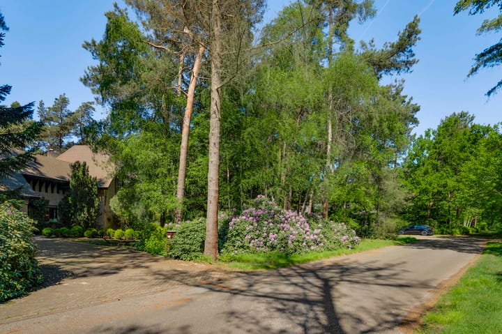 Foto 68 van Dennenlaan 1