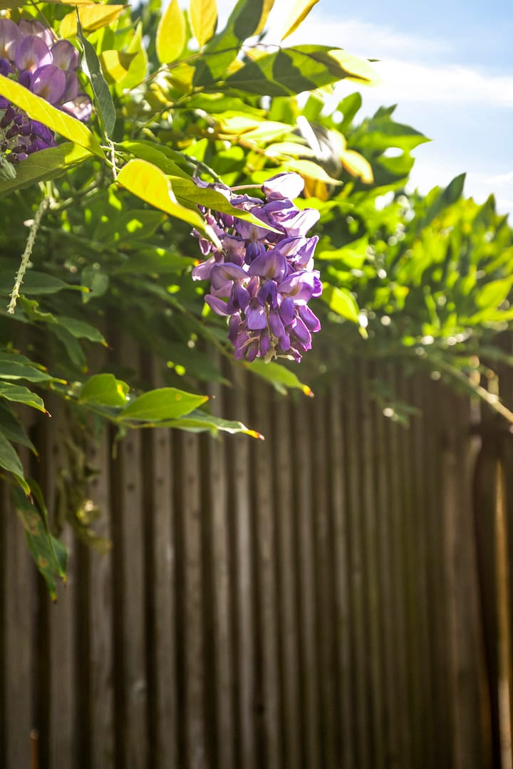 Foto 25 van Antilopestraat 1