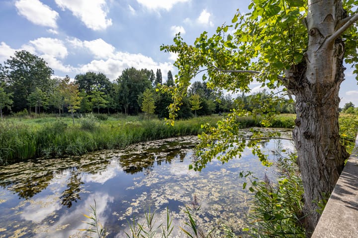 Foto 19 van Zonland 7