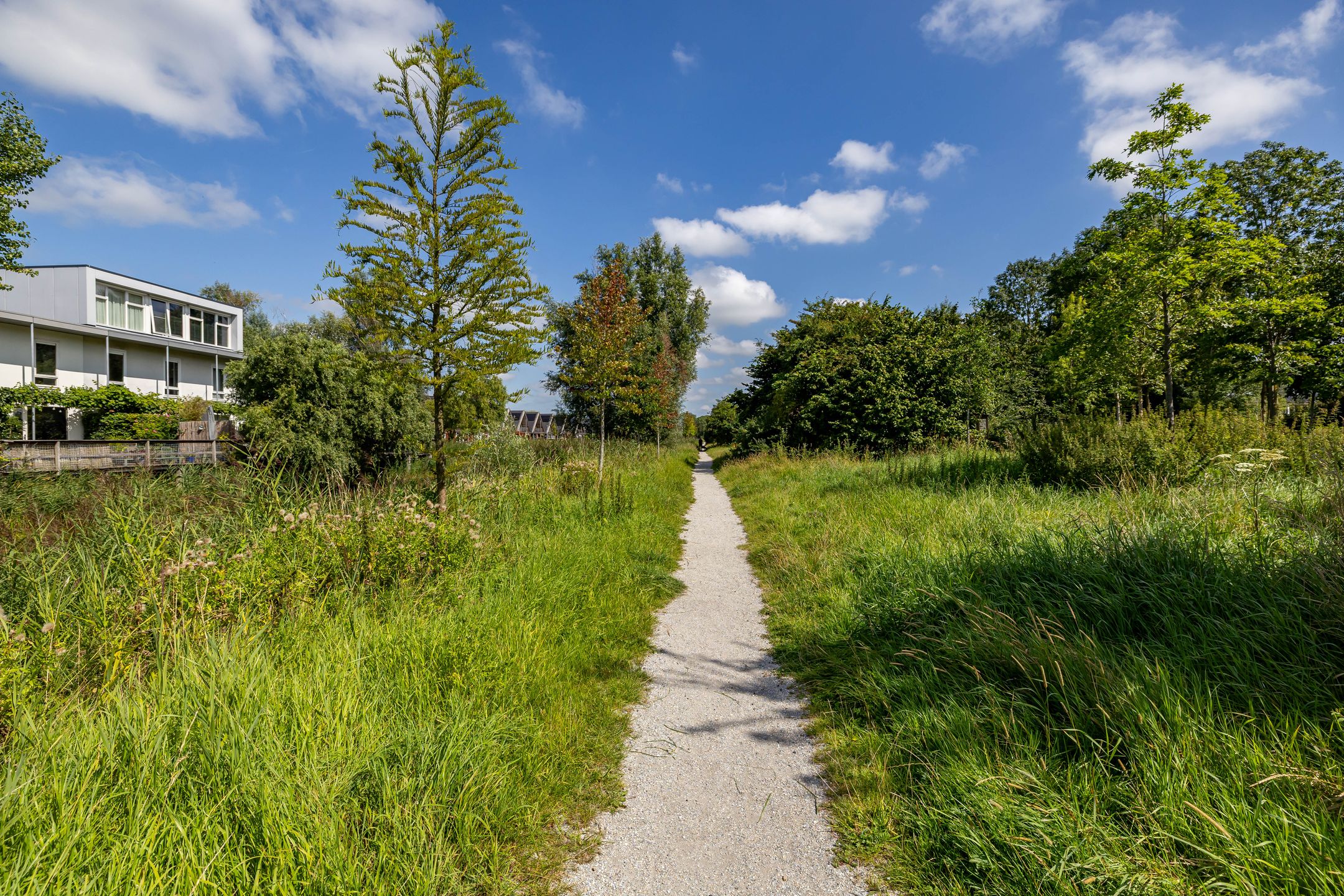 Foto 36 van Zonland 7