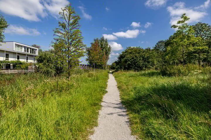 Foto 36 van Zonland 7