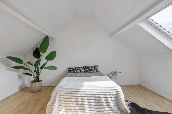 Foto 15 van Mgr. A.F. Diepenstraat 12