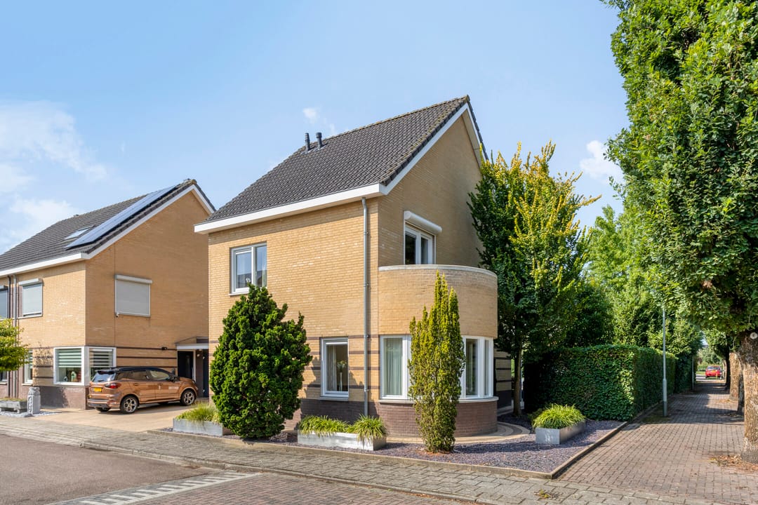 Foto 1 van Havikskruid 5