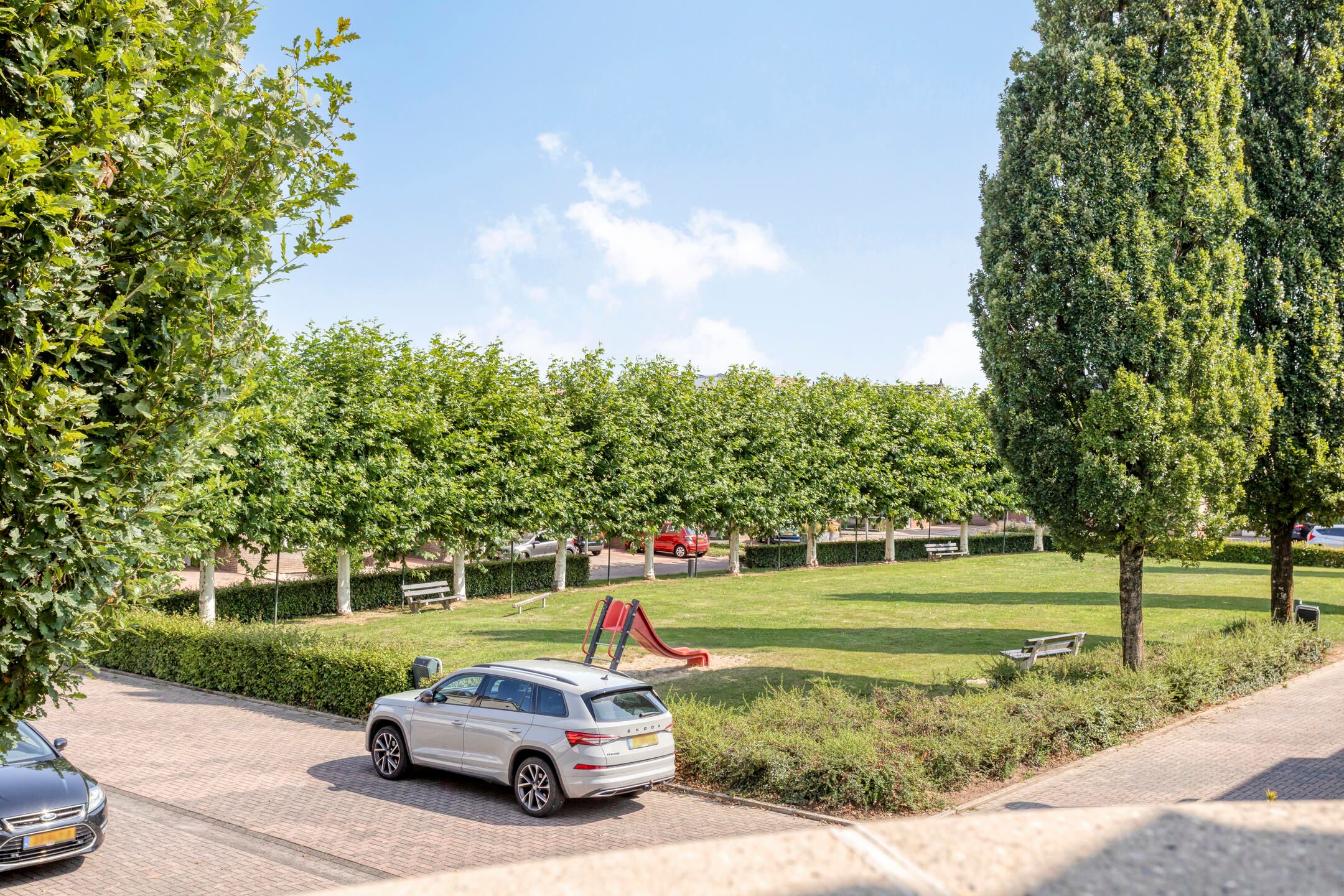 Foto 3 van Havikskruid 5