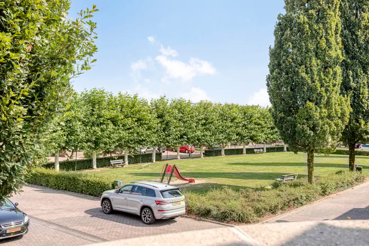 Foto 3 van Havikskruid 5