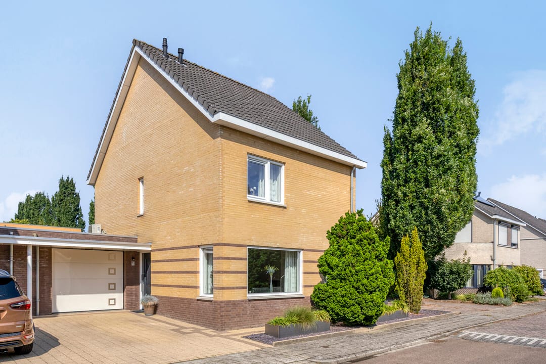 Foto 7 van Havikskruid 5