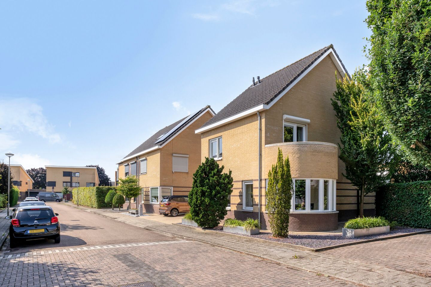 Foto 5 van Havikskruid 5